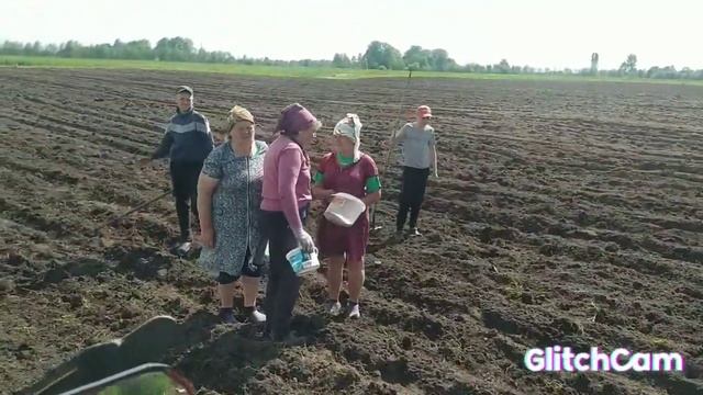 Висадили гарбуз 2.4 Га 27.05. смотреть онлайн