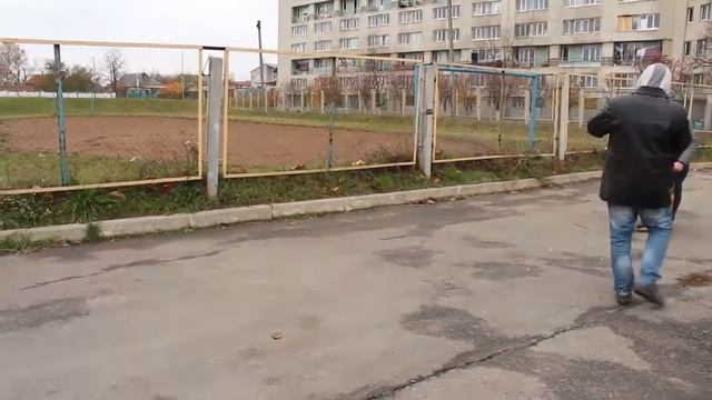 Групповые занятия. Обучение собак не брать еду с чужих рук. Дрессировка собак смотреть онлайн