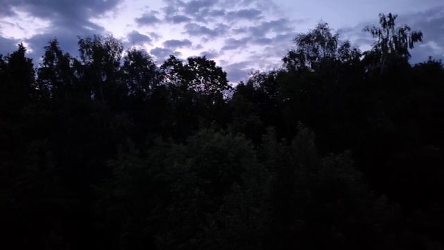 Ночной соловей ... Разбудил ... не уснуть ... смотреть онлайн
