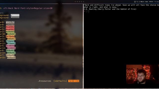 A Clueless URXVT Config Guide // 25 Days of Linux смотреть онлайн