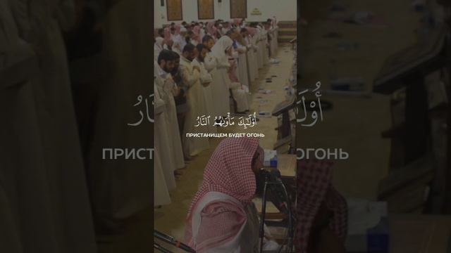 Сура Юнус аят 7-9. чтец: Мухаммад аль Люхайдан #quran смотреть онлайн