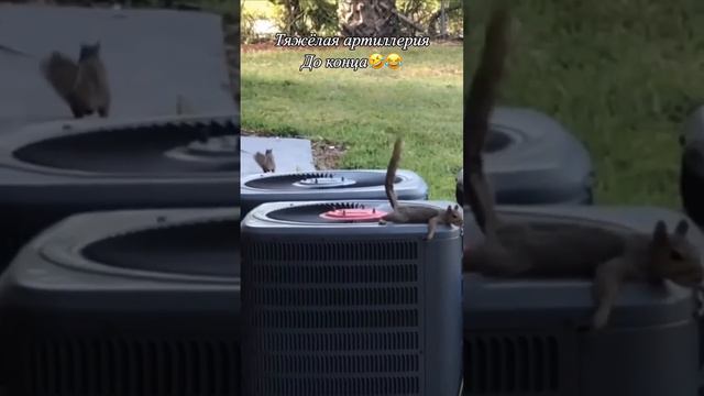 тяжёлая артиллерия