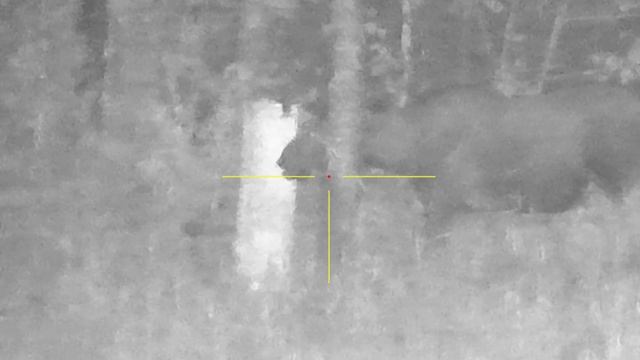 Китайский цифровой прицел Sytong HT60 3/8x 940nm смотреть онлайн