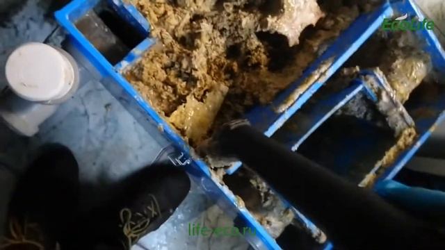 Откачка очень грязного бытового жироуловителя под раковиной в кафе смотреть онлайн