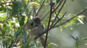 Отличный КЛЁВ КАРАСЯ НА ЗАКИДУШКИ. Рыбалка на красивом пруду.