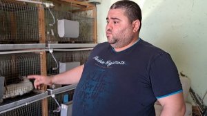 Ниппельные поилки для кроликов