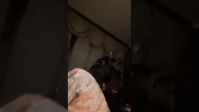 3456g9 за зрителей и сердечек покажу лицо смотреть онлайн