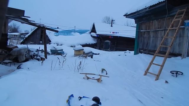 Муж с Ильюшей рубят ветки для козочки,делает заказ,как выбрать правильный мёд.