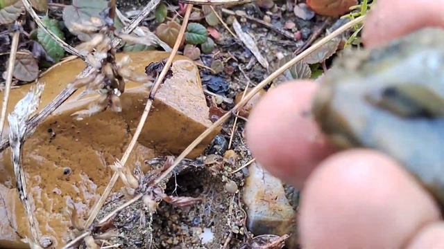 Поиск Агатов Сердоликов окаменелого Дерева Кремней Яшмы. Северные реки Иркутской области и Эвенки смотреть онлайн