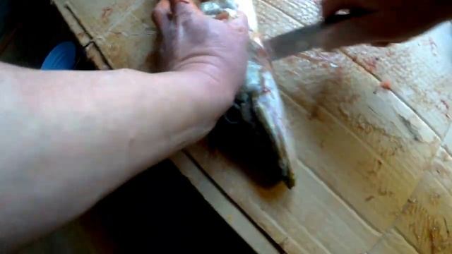 Два способа разделки щуки на филе!!Пять блюд из щуки!! смотреть онлайн