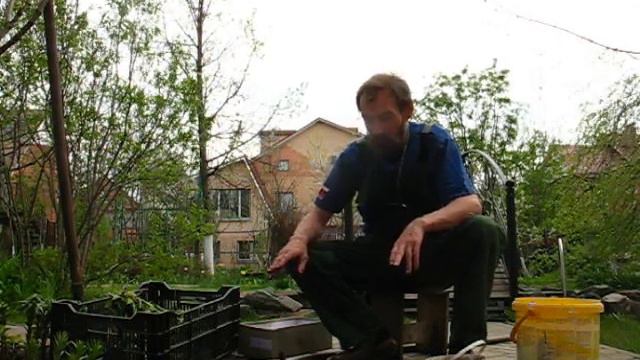 Многолетние цветы в саду смотреть онлайн