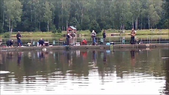 Продолжение поимок форели на спорт зоне. Клёвое место, лосиный остров смотреть онлайн