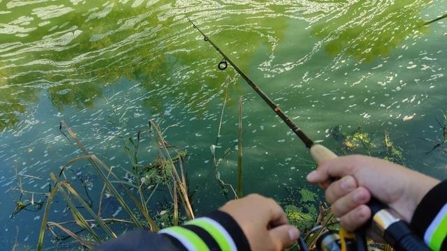 Забрался далеко от цивилизации! Дикие места радуют рыбалкой и красотой! Ловля окуня смотреть онлайн