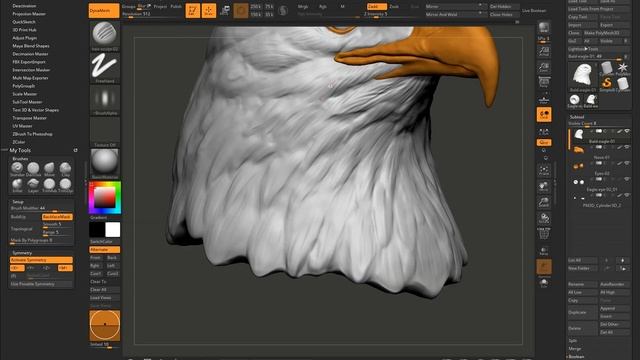 Bald Eagle Head Sculpting Timelapse