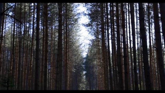 Сильно ли влияет внешность мужчины на знакомство? смотреть онлайн