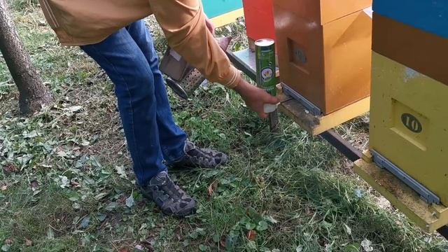Тимол против клеща варроа: результат ???