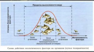 Биология 11 кл Теремов §44 Экологические факторы и закономерности их действия