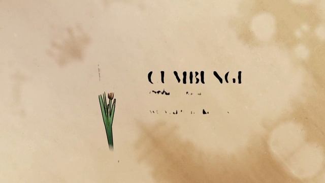 Bush Tucker Garden - Behind the News смотреть онлайн