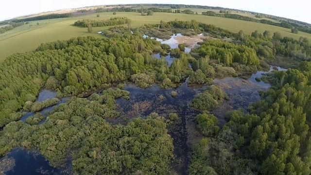 Болото с гексакоптера. смотреть онлайн