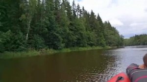 Тест лодки Риф 325 НДНД + мотор Эвинруд 9.5