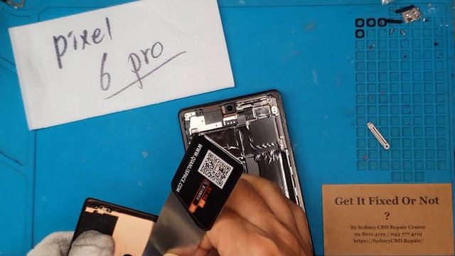 WE GOT ANOTHER ONE! Google Pixel 6 Pro Screen Replacement | Sydney CBD Repair Centre смотреть онлайн