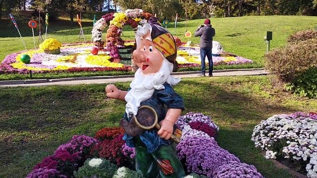 Выставка хризантем. Певческое поле, октябрь 2020 г. Украина, Киев.