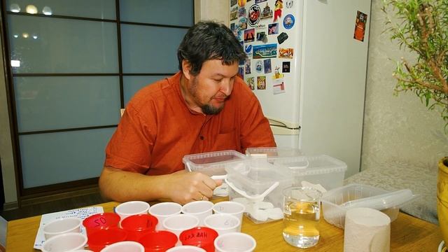 Всё пропало! Как засушить семена, но поставить их на проращивание. смотреть онлайн