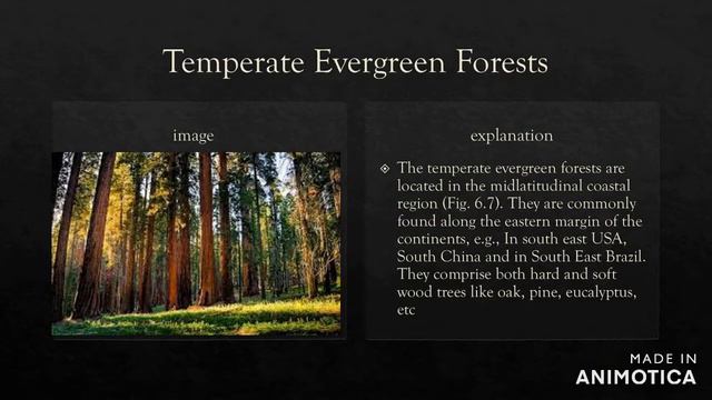 Natural vegetation and wildlife very useful ppt for grade 5, 6, 7, 8 смотреть онлайн