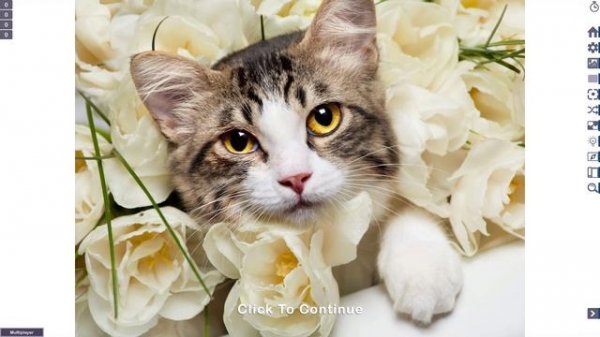 Let's Play Jigsaw Puzzles