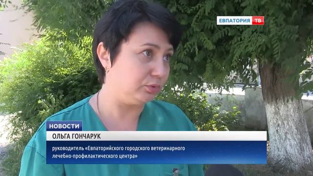 Любишь животных? Стерилизуй! смотреть онлайн