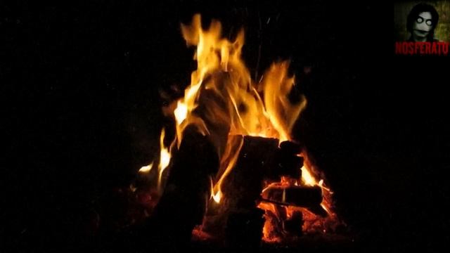 Истории на ночь - Уха