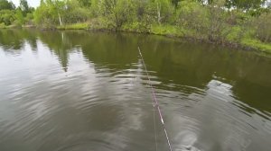 МИКРОДЖИГ РАЗДАЕТ на знакомом ПРУДУ после дождя!  Ловля окуня на микроджиг летом. (рыбалка на окуня