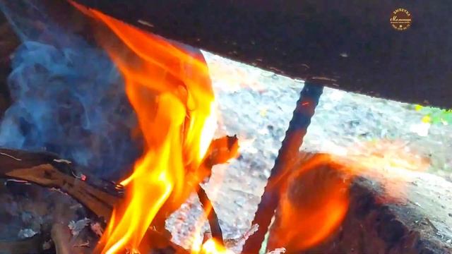 готовим на природе смотреть онлайн