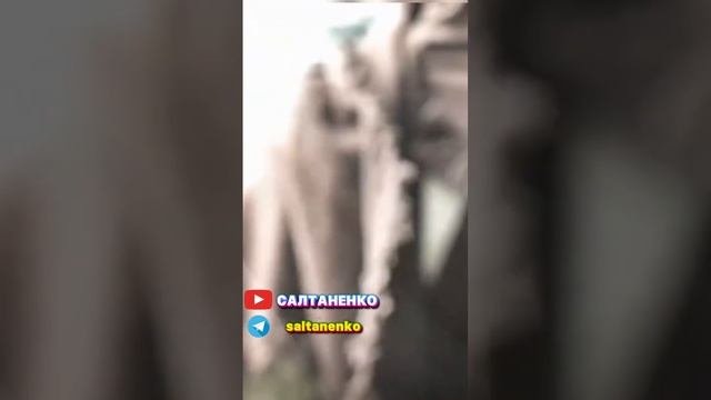 РОЖДЕНИЕ СВЫШЕ - главный шаг, чтобы избавиться от ОДЕРЖИМОСТИ. Изгнание дьявола! смотреть онлайн