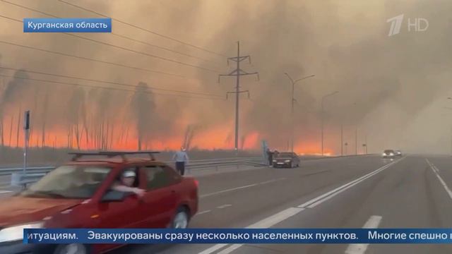 Выпуск новостей в 12:00 сегодня, 8 мая 2023 года Лесные пожары смотреть онлайн