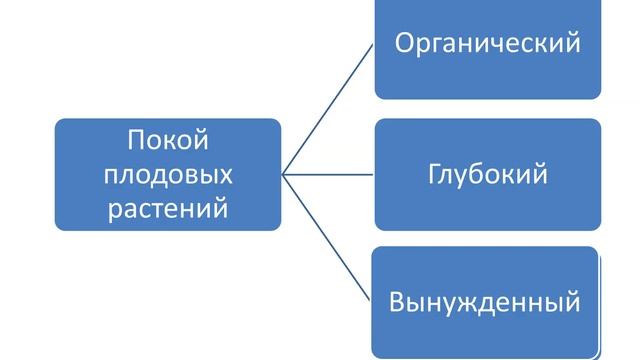 Что такое покой плодовых культур? смотреть онлайн