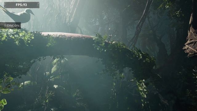 Shadow of the Tomb Raider Benchmark - 1440p Ultra - No RTX DLSS - Ryzen 9 5900x + RTX 3090 FE смотреть онлайн