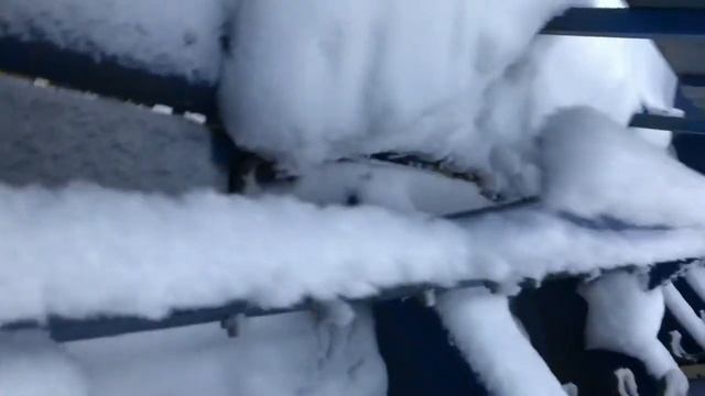 Обзор картофелесажалки КСМ-4 Плюсы и Минусы. Стоит ли брать? смотреть онлайн