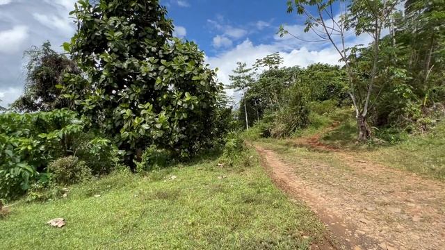 Девушки Филиппинки - на что надо обратить внимание, если  Вы ищите супругу…