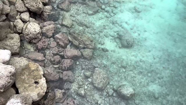 МЫ НА КРУИЗНОМ ЛАЙНЕРЕ смотреть онлайн