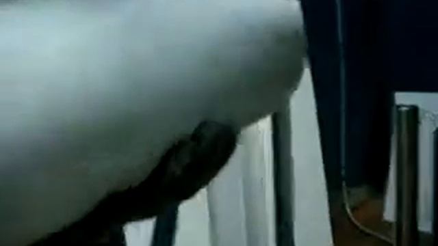 тех обслуживание компрессоров смотреть онлайн