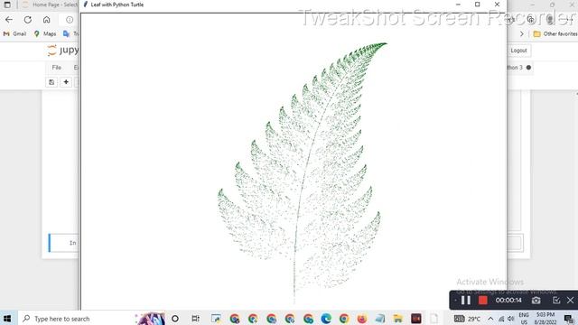 leaf drawing in python || Python turtle library || Python for beginners #poojapatel #chiki1601 смотреть онлайн
