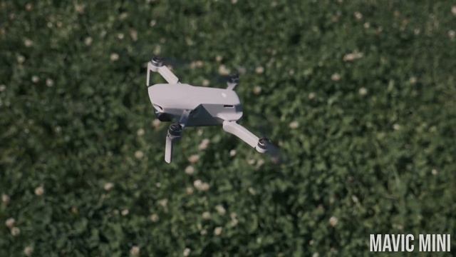 Mini SE Vs Mavic Mini Vs Mini 2 - DJI Mini Drone Comparison | DansTube.TV