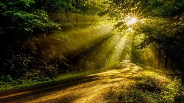 ИСЖ инвестиционное страхование жизни - что это такое смотреть онлайн