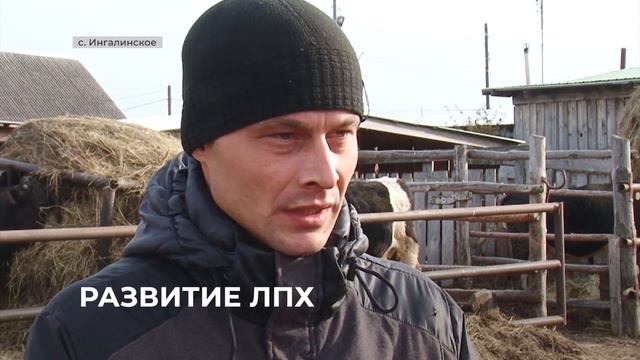 В Ингалинском сельском поселении развиваются фермерские хозяйства смотреть онлайн