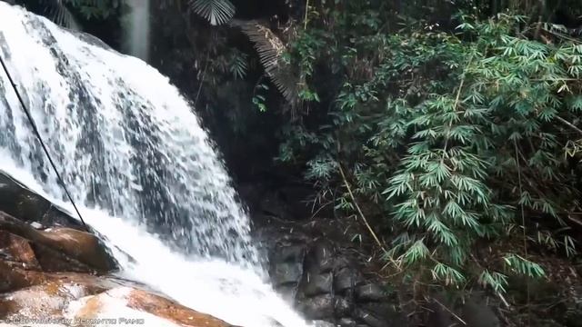 2 HOURS Peaceful & Relaxing Instrumental Piano Music -Music that make you feel motivated and relaxed смотреть онлайн