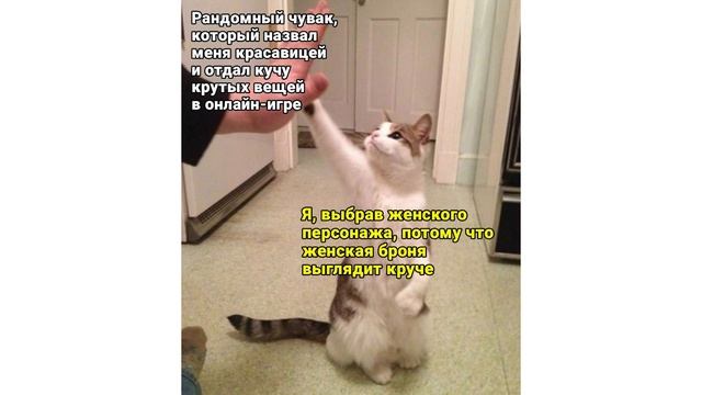 Приколы с котами. Размотай, я злюся! | Мемозг #310 смотреть онлайн