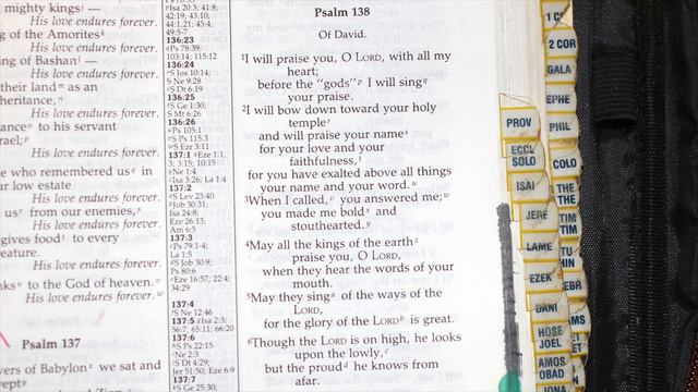 Holy Bible - Psalm 138 : 1 - 8 смотреть онлайн