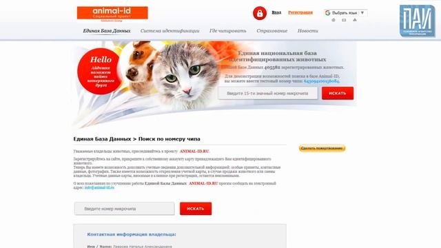 ЧИПИРОВАНИЕ животных БЕСПЛАТНО смотреть онлайн