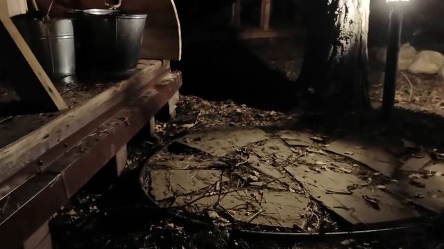 ЛИ СЯО. Алиса - Лиса. Собаки завтракали, а лиса пробегала рядом. смотреть онлайн